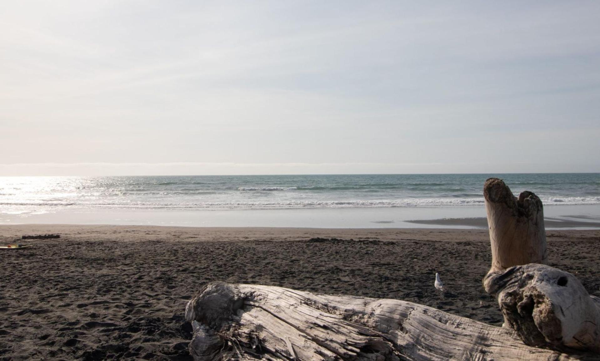 The Dunes At Fitzroy Beach Unit 2 New Plymouth Zewnętrze zdjęcie